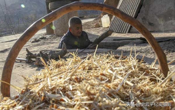 大山裡農民用祖傳木桶釀製柿子酒，口感純正好喝不上頭，啥情況