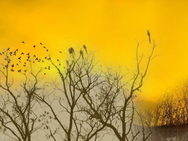 人間方望晚晴長:李商隱五律《晚晴》的多重含義 人間方望晚晴長:李商隱五律《晚晴》的多重含義