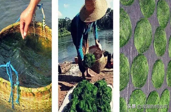 雲南的10種原生態風味菜，出了雲南，可吃不到這種原生態的風味菜