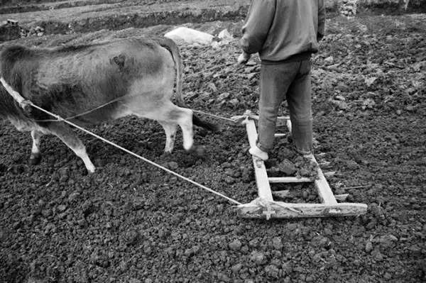 這些農村老物件,江西人你還記得嗎? 這些農村老物件,江西人你還記得嗎?