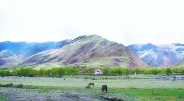 重慶去拉薩騎腳踏車第七天到新都橋:翻折多山,被狗咬,天堂攝影 重慶去拉薩騎腳踏車第七天到新都橋:翻折多山,被狗咬,天堂攝影