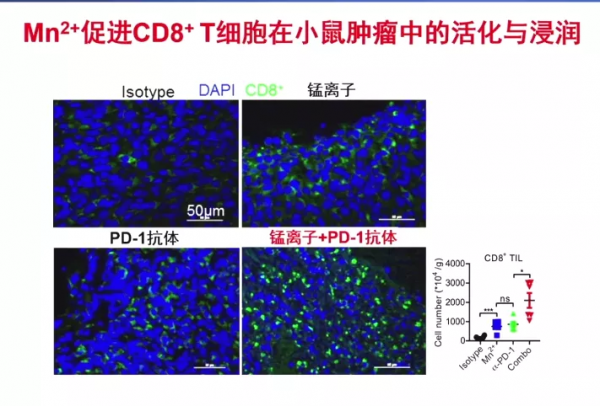 “錳”吃點，降低癌症發病率