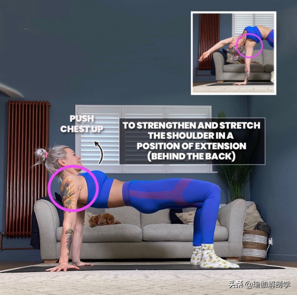 常練這5個瑜伽動作，讓你的狂野式更加完美