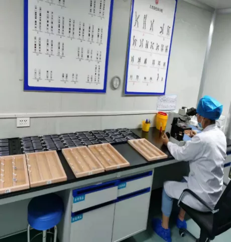 來看看羊水細胞的“奇妙之旅”吧 來看看羊水細胞的“奇妙之旅”吧