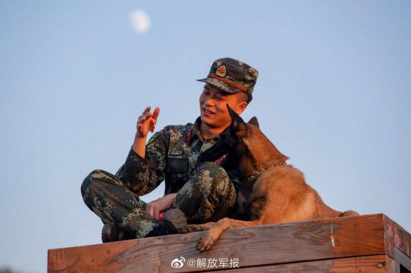軍犬的訓練日常有多酷