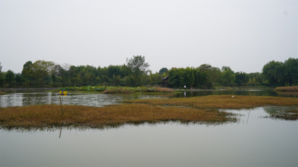 豪車停滿、買裝備花100多萬，釣魚是男人最後要佔領的高地？