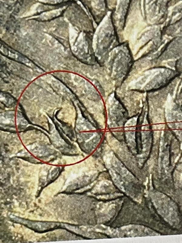 聊聊民國八年大頭