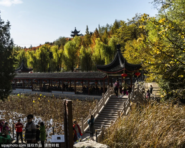 準備打卡！北京這些地方已經美成畫！最新彩葉實拍→