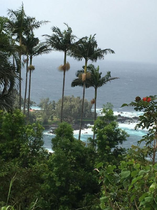 你認為最漂亮的海灘在哪裡