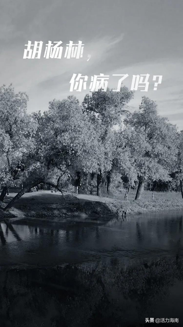 點亮！為額濟納加油！