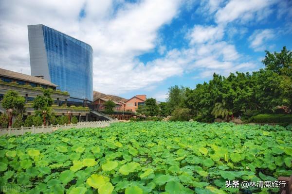 四川養老就去攀枝花,海拔低適合老人,冬暖夏涼,東北文化濃厚 四川養老就去攀枝花,海拔低適合老人,冬暖夏涼,東北文化濃厚