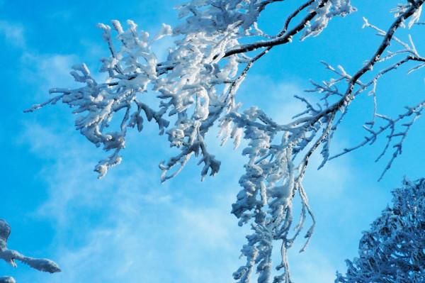 在家觀冬奧 聯想冰雪記憶