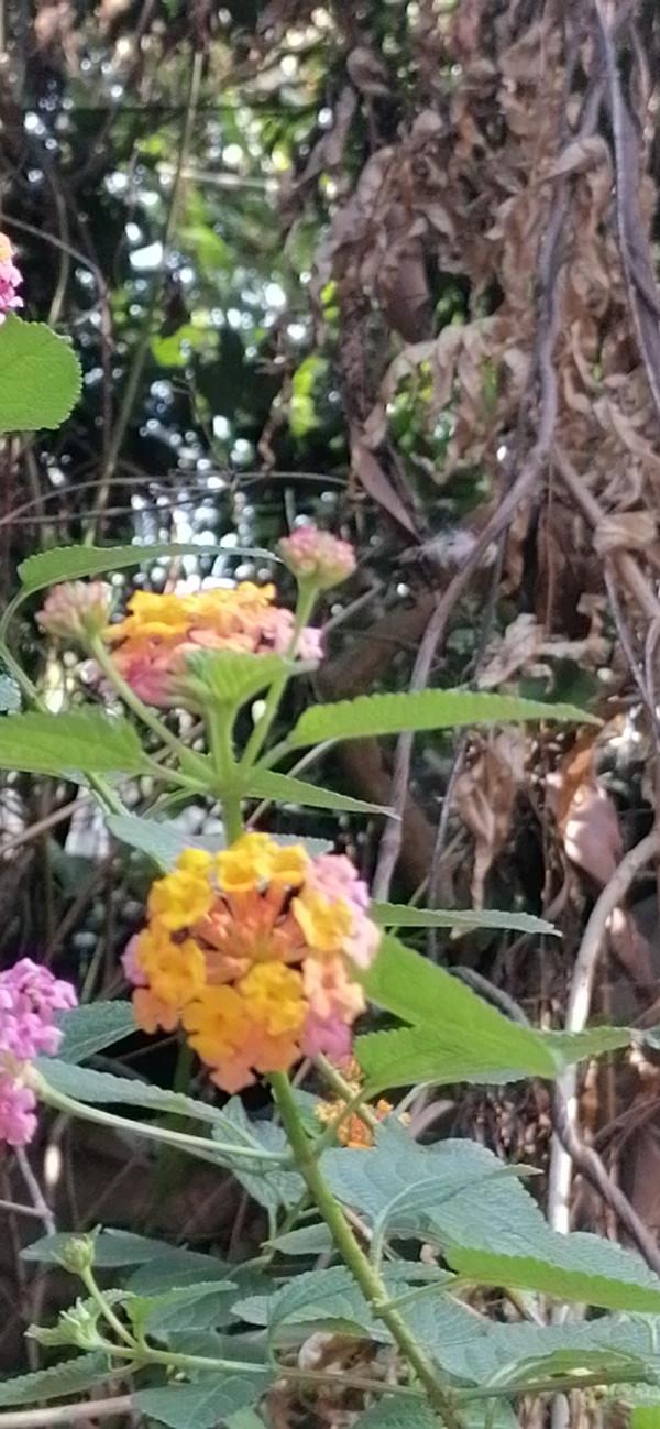 雲彩下的山城系列（九）