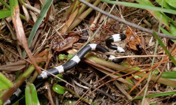 不是聳人聽聞，這些釣點真的很危險，為了安全，請遠離這些位置