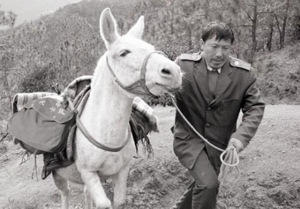 這不是我認識的中國郵政！吊打全球快遞企業的中國郵政到底有多強