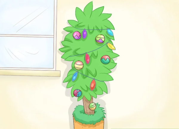 三哥（印度）的聖誕節怎麼過