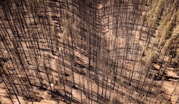 美國：山火過後