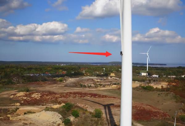 手掌大的飛蛾、比汽車高的鹿，這些東西比你想象的要大很多