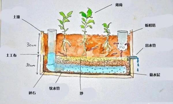 誰說租房黨不配擁有花園—租房黨的種植神器教程來啦 誰說租房黨不配擁有花園—租房黨的種植神器教程來啦