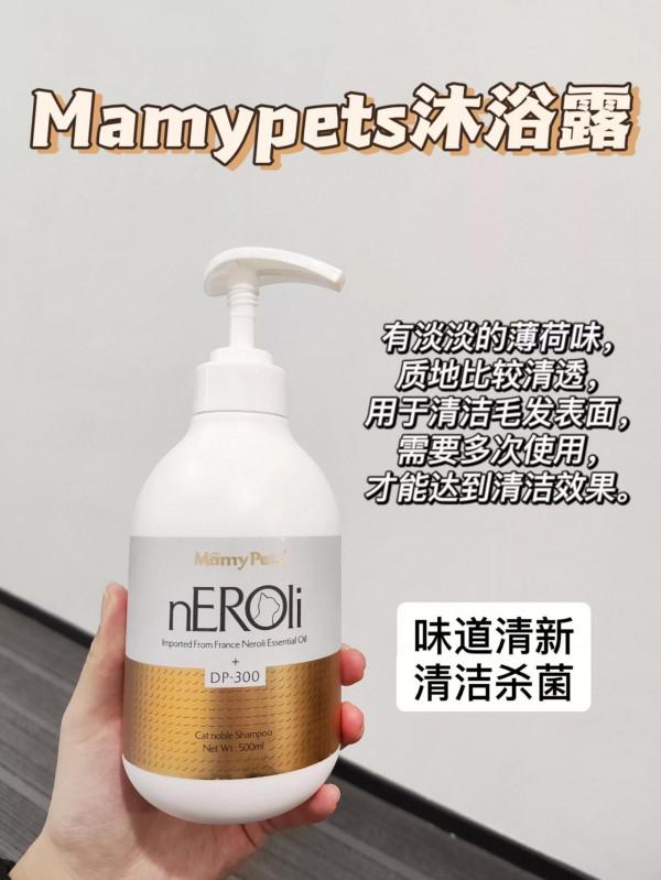 貓咪身上臭烘烘？可能這幾點被你忽略了