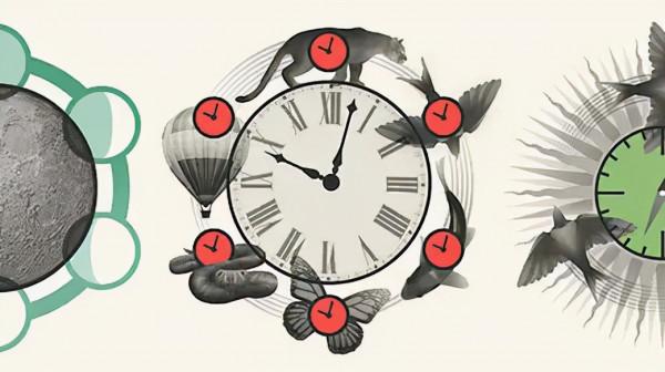 時鐘的本質竟然是一臺熱機？