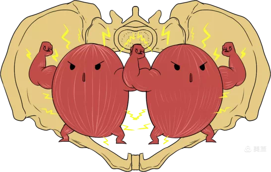 不做盆底康復?40歲後,你可能需要一片紙尿褲 不做盆底康復?40歲後,你可能需要一片紙尿褲