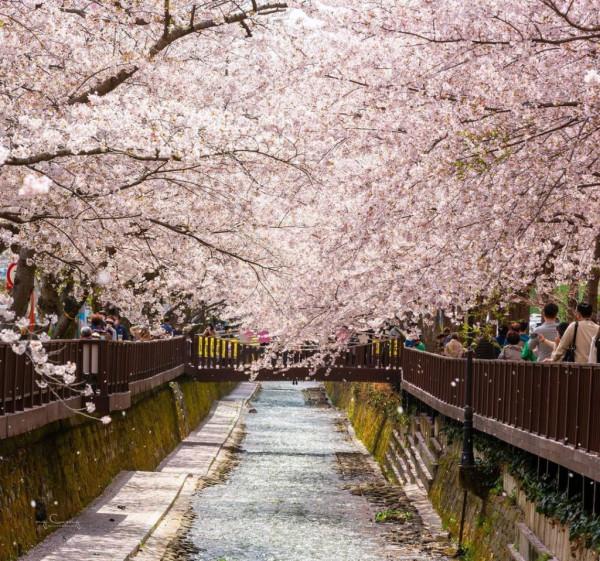 首爾以外：8個韓國城市新增到您的願望清單中