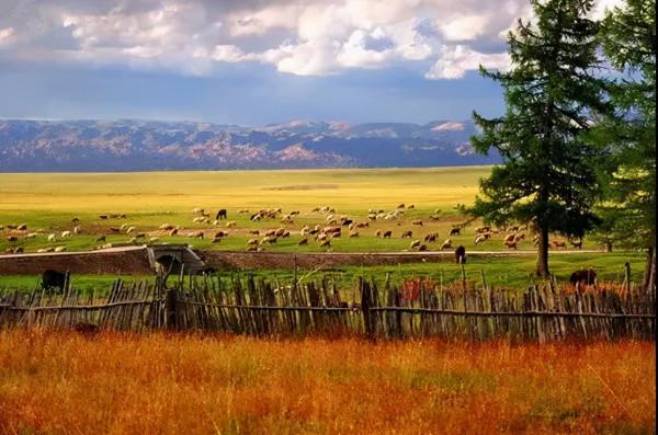 國內6條超驚豔的自駕路線，橫跨東西南北，一路風景賞心悅目
