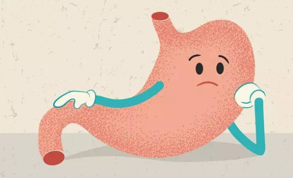 胃真的會越撐越大、越餓越小? 胃真的會越撐越大、越餓越小?