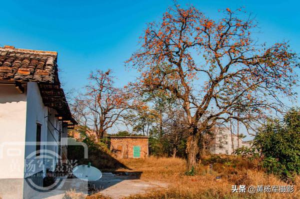 廣東客家人最多的縣,戶籍人口1524184人,山水如畫故鄉柿子味美 廣東客家人最多的縣,戶籍人口1524184人,山水如畫故鄉柿子味美