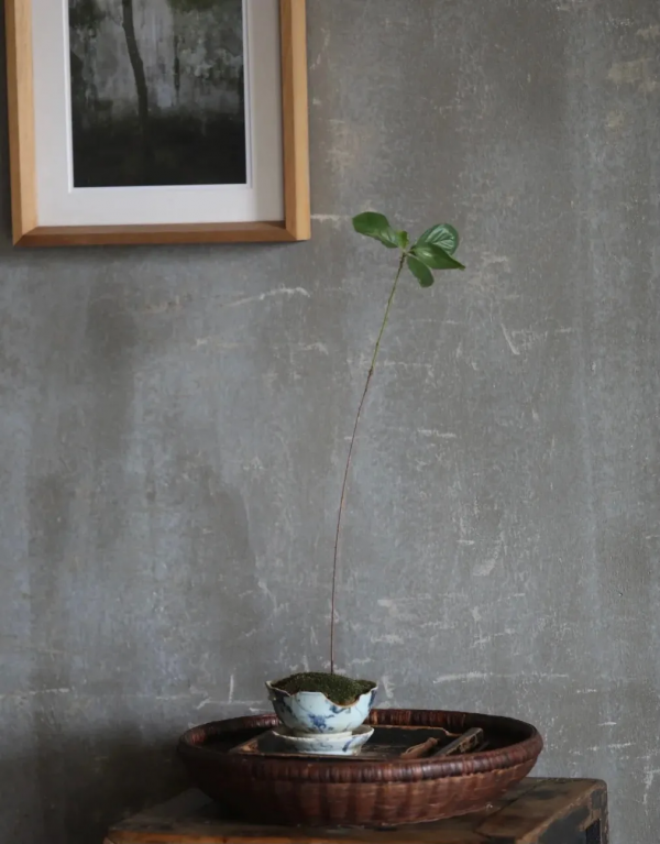 人生三樂:開卷讀書,閉門修禪,一語濟世 人生三樂:開卷讀書,閉門修禪,一語濟世