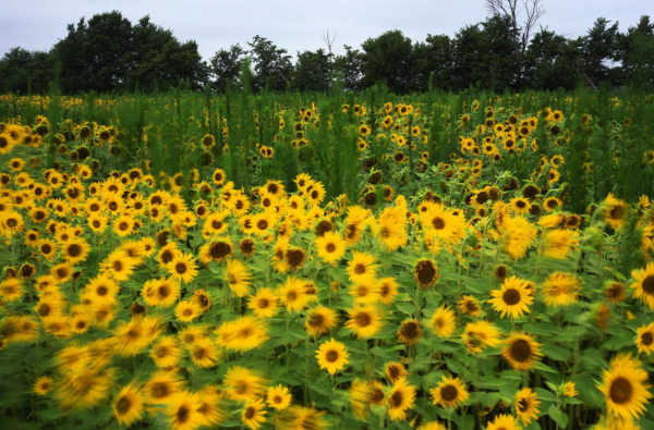 中年之後,4個星座,一步一個腳印打拼,總能扭轉敗局 中年之後,4個星座,一步一個腳印打拼,總能扭轉敗局