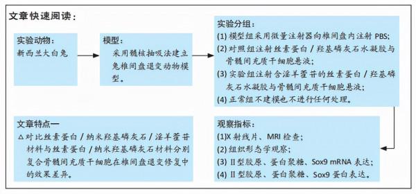 絲素蛋白/奈米羥基磷灰石/淫羊藿苷可促進移植骨髓間充質幹細胞增殖分化為髓核樣細胞