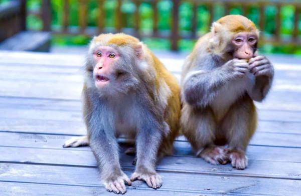 國內禁止外國人進入的7個景點,個個都美如畫,看完立刻想出發 國內禁止外國人進入的7個景點,個個都美如畫,看完立刻想出發