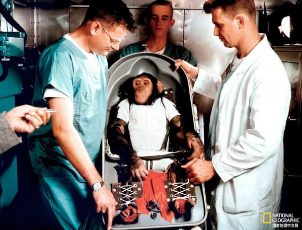 那些年,我們送上太空的動物 那些年,我們送上太空的動物