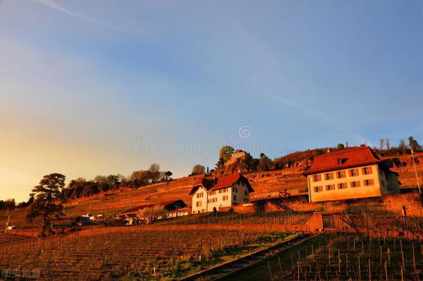 2022年農村市場看好的4個專案，適合年輕人創業