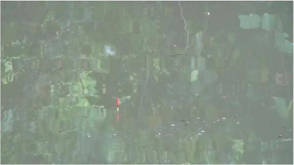 大魚“偷偷”潛入窩裡，會有這些徵兆出現，發現就要警惕起來了