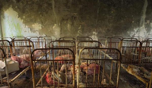 核輻射有多可怕?已經過去35年,切爾諾貝利如今是什麼模樣? 核輻射有多可怕?已經過去35年,切爾諾貝利如今是什麼模樣?