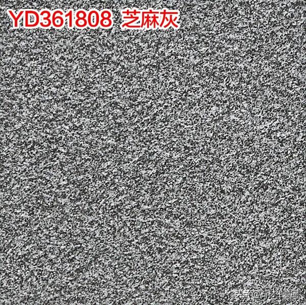 生態地鋪石欣賞