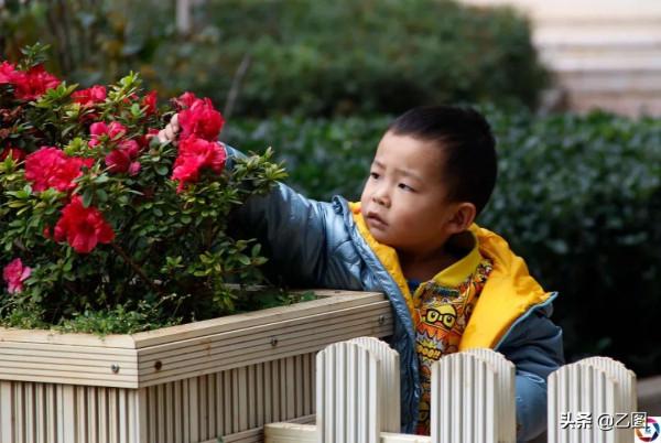 兩個孫子都是星星的孩子,兒媳離婚老伴患癌,奶奶含淚帶孫子求醫 兩個孫子都是星星的孩子,兒媳離婚老伴患癌,奶奶含淚帶孫子求醫