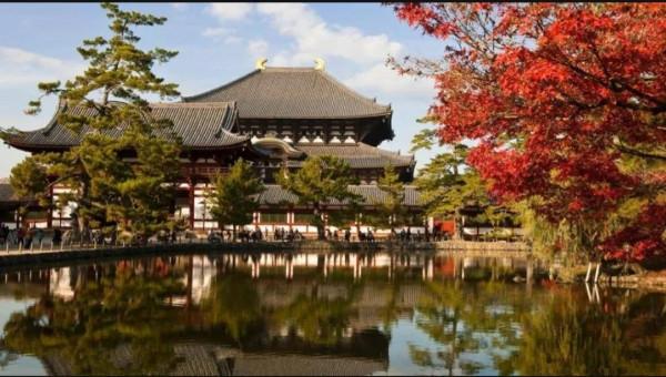 日本網友問:憑什麼中國人主張日韓越三國文化起源於中國? 日本網友問:憑什麼中國人主張日韓越三國文化起源於中國?