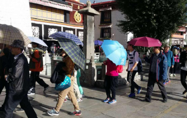 為什麼老年團那麼便宜？導遊說出“貓膩”，網友：心疼我們的父母