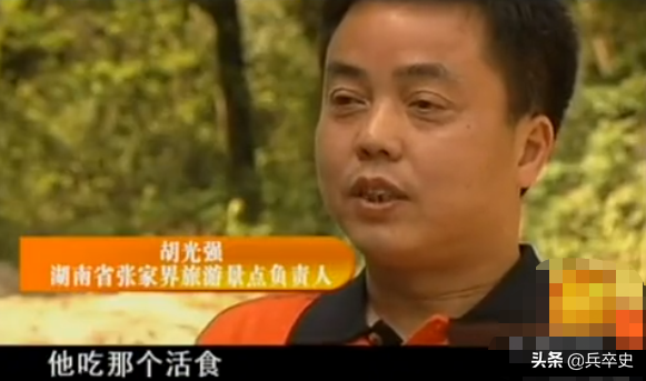 真實故事：湖南7歲男童意外掉進天坑，叢林生存8年成嗜血“野人”