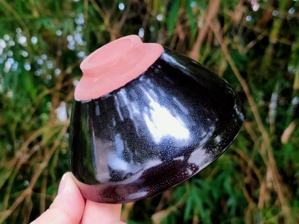 這樣養盞,承包了我一年的笑點,盤點經典的10大錯誤養盞方法 這樣養盞,承包了我一年的笑點,盤點經典的10大錯誤養盞方法