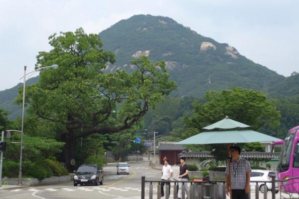 2014韓國遊記：景福宮和朱元璋的故事