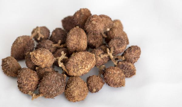 香砂養胃丸，這個藥能治療哪些胃病？下面這些問題你應該瞭解清楚