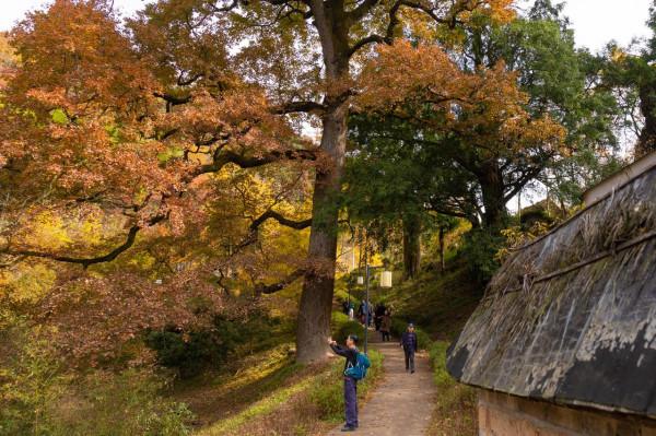 堵車、堵車、堵車，這個古村憑什麼讓遊客步行三公里入村？