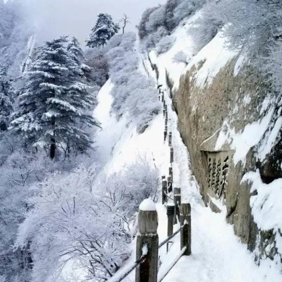 曾仕強：明哲保身是最高明的處世方式