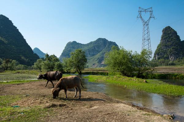 田野鄉村，風景如畫