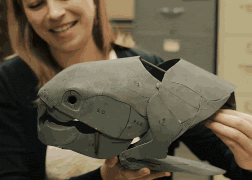 脊椎動物崛起，目標征服陸地——泥盆紀